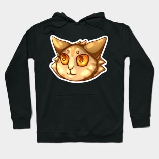 Sunny Cat Hoodie